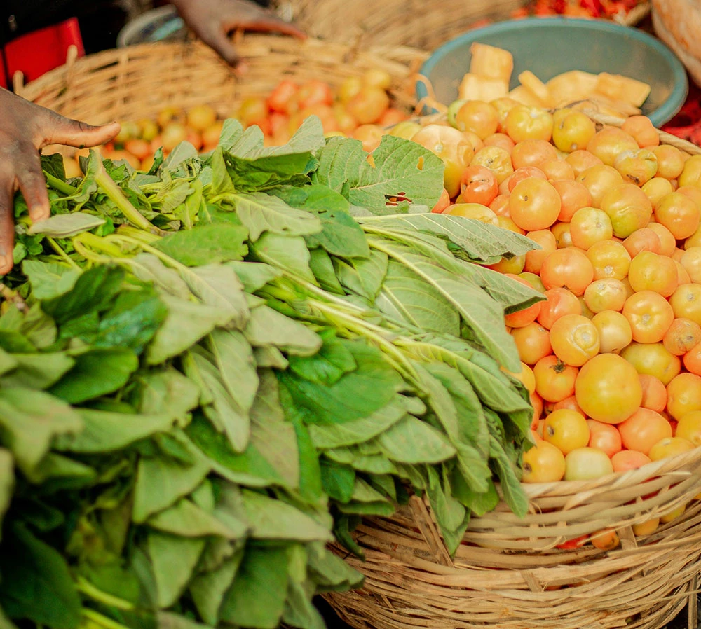 Organic farms avoid toxic inputs, improve soil health, grow clean, sustainable food that supports nature.