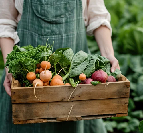 Empowering local growers to harvest healthy produce and promote a sustainable future.